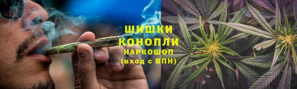 дурь Алзамай