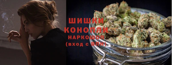 ПСИЛОЦИБИНОВЫЕ ГРИБЫ Алексеевка