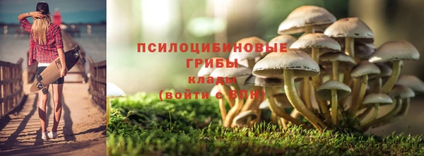 дурь Алзамай